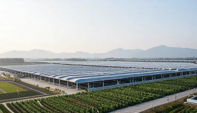 系统运行中公众号开发的选型关注点