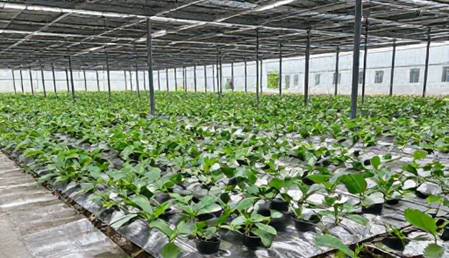 企业信息化方案实施中的网站维护建议